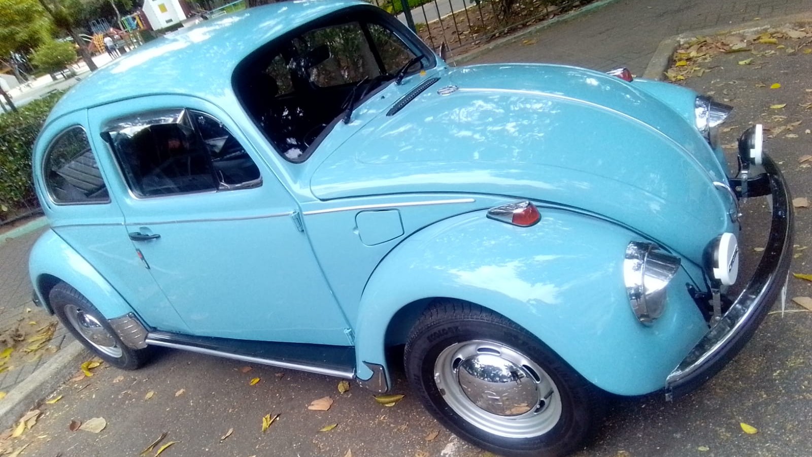 Fusca 79 (12 996119042 ARI)